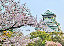 乐鱼-【集锦】十人吉达国民1-0町田泽维亚卫冕亚冠，布赖坎制胜球